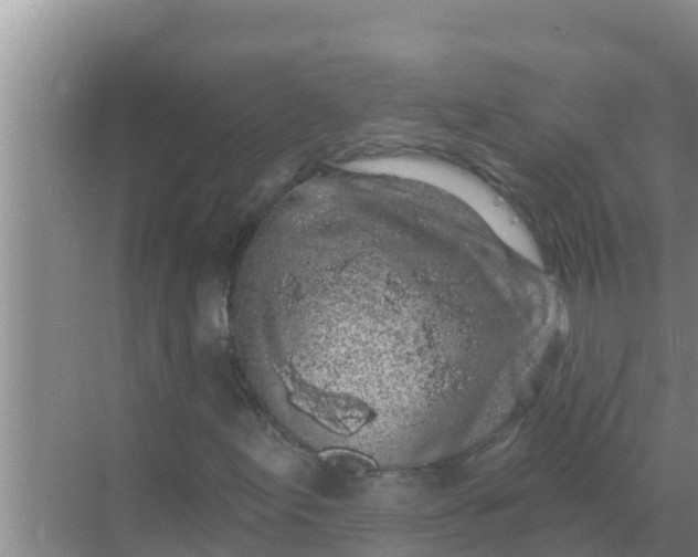 X0000069381155200605262043