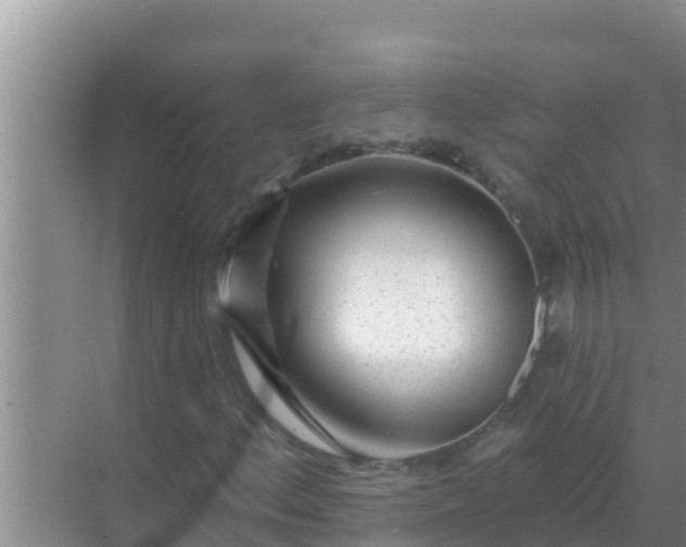 X0000069381156200605262043