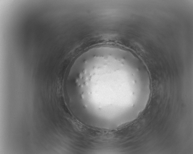 X0000069381158200605262043