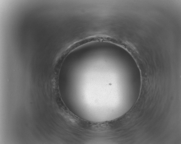 X0000069381159200605262043