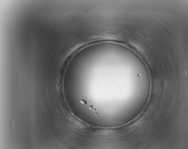 X0000069381163200605262043