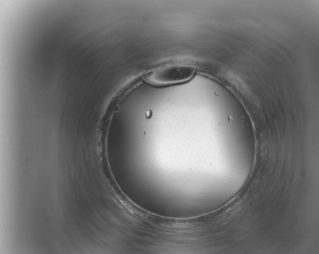 X0000069381164200605262043