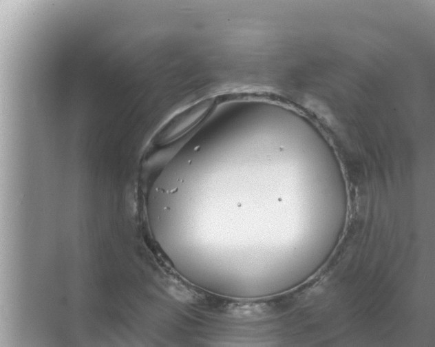 X0000069381165200605262043