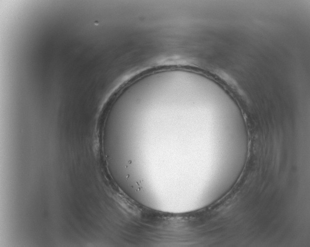 X0000069381167200605262043