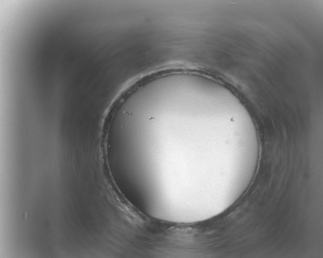 X0000069381168200605262043