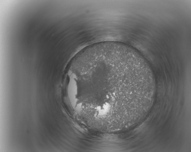 X0000069381170200605262043