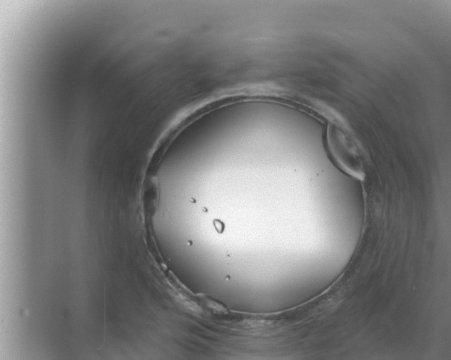 X0000069381176200605262043