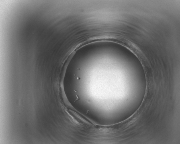 X0000069381177200605262043