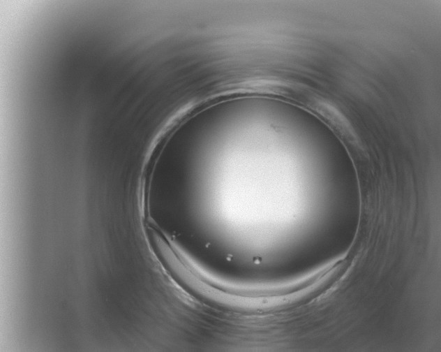 X0000069381180200605262043