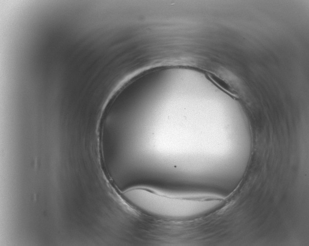 X0000069381184200605262042