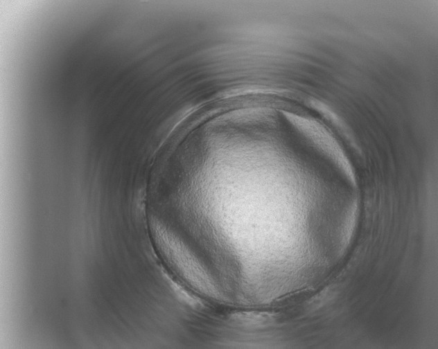 X0000069381185200605262042