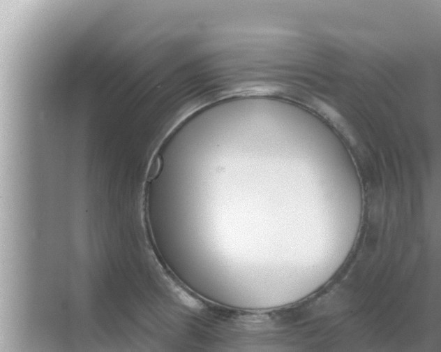 X0000069381186200605262042