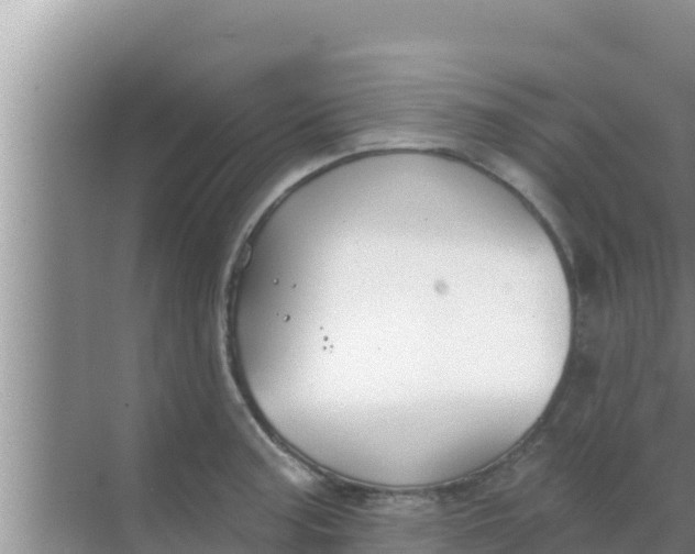 X0000069381187200605262042