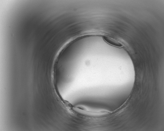 X0000069381188200605262042