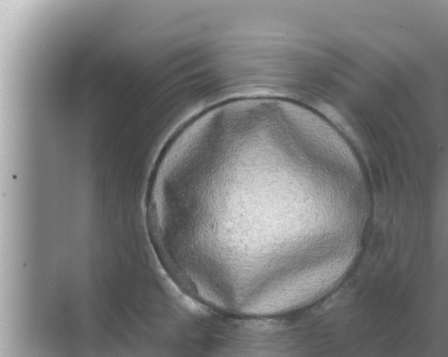 X0000069381189200605262042