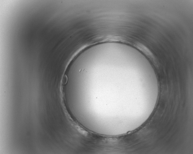 X0000069381190200605262042