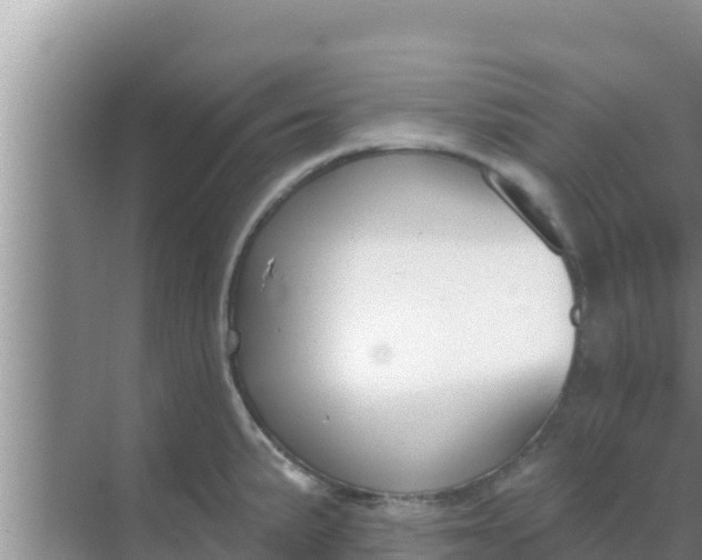 X0000069381191200605262042