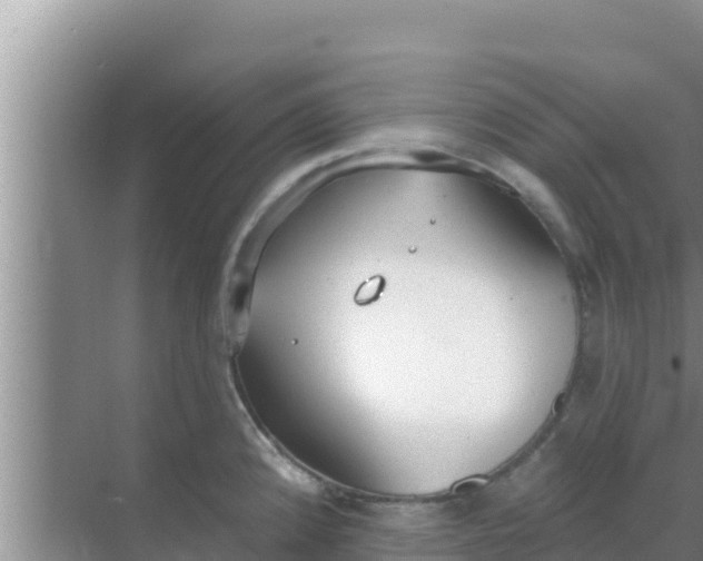 X0000069381192200605262042