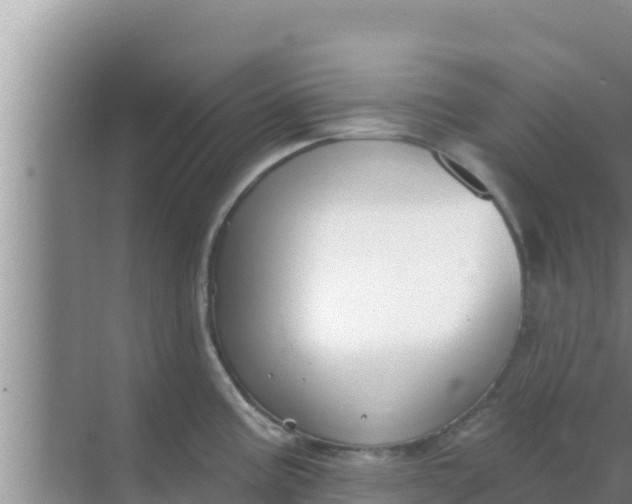 X0000069381195200605262042