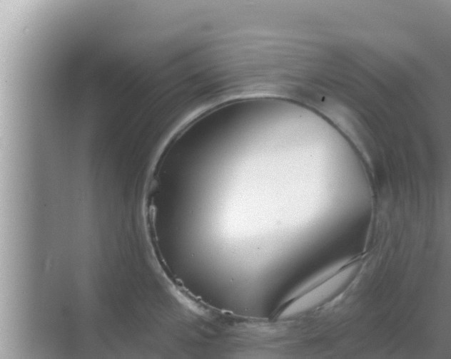 X0000069381197200605262042