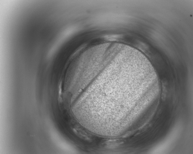 X0000069381198200605262042