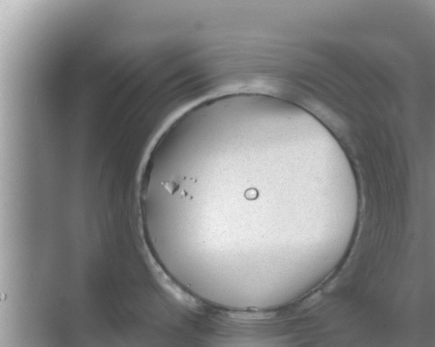 X0000069381200200605262042