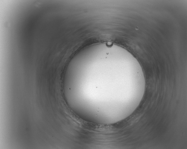 X0000069381201200605262041