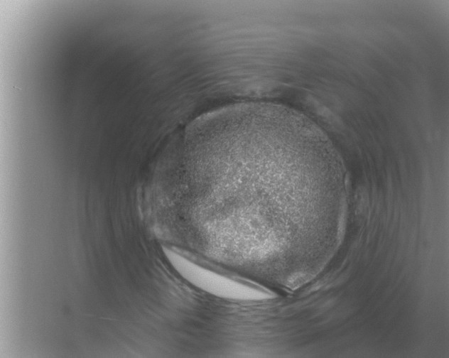 X0000069381202200605262041