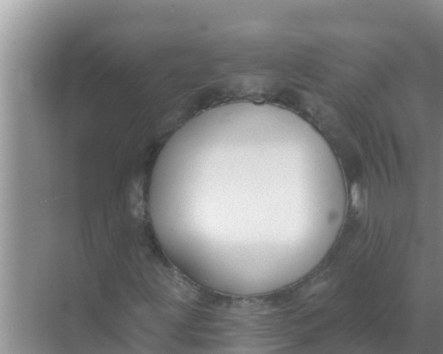 X0000069381203200605262041