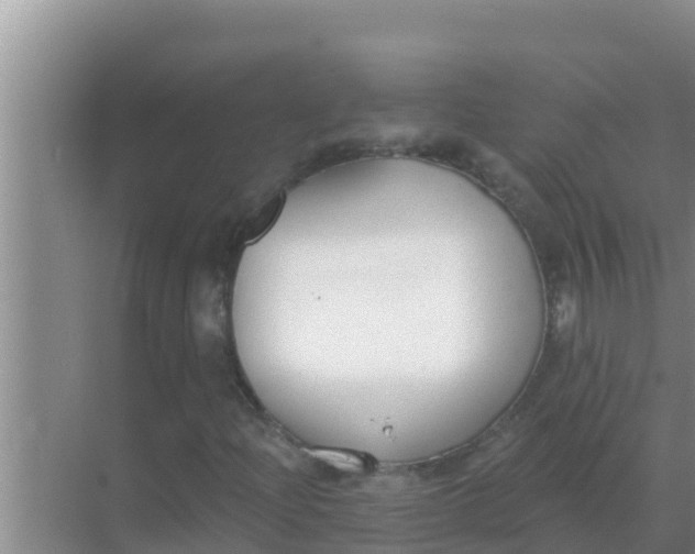 X0000069381204200605262041