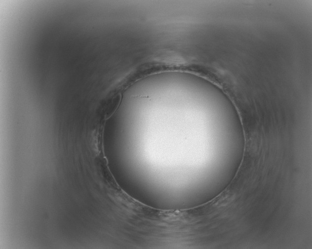 X0000069381205200605262041