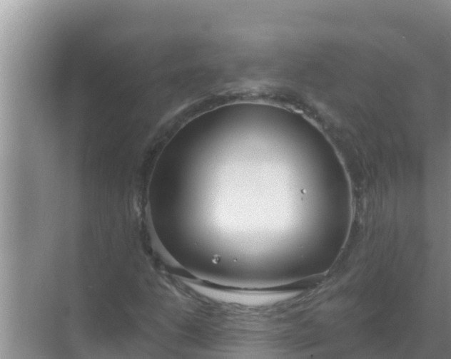 X0000069381206200605262041