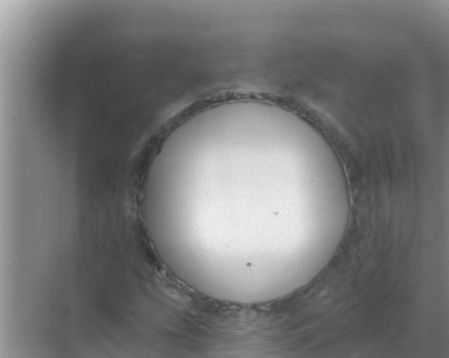 X0000069381207200605262041