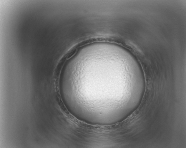 X0000069381208200605262042