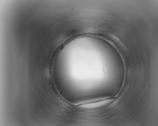 X0000069381209200605262042