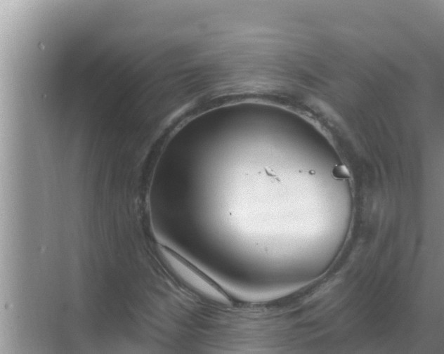 X0000069381210200605262042