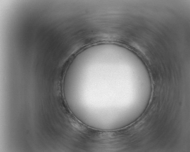 X0000069381211200605262042