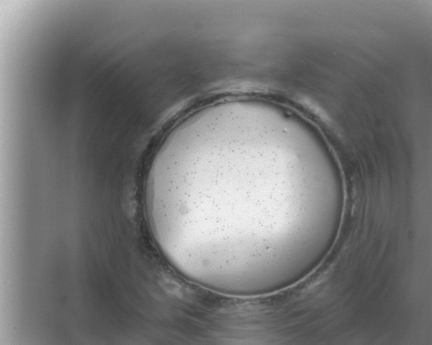 X0000069381213200605262042