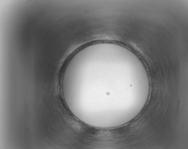 X0000069381215200605262042