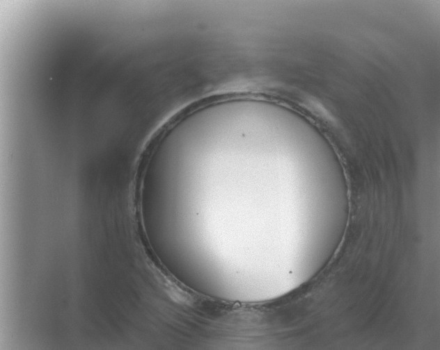 X0000069381216200605262042