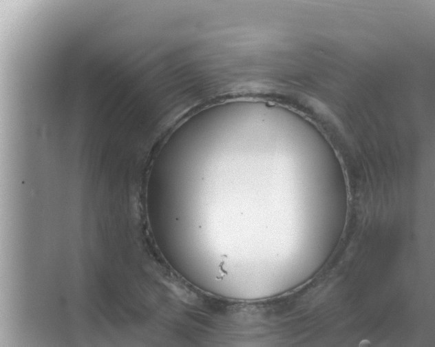 X0000069381217200605262042