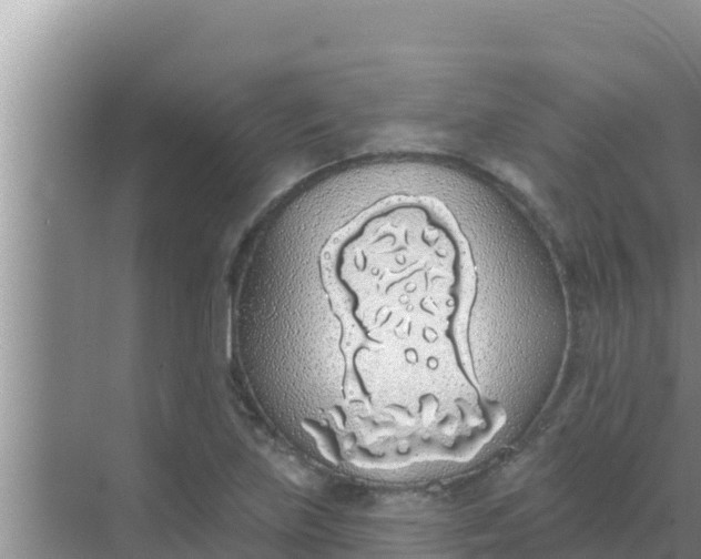 X0000069381219200605262042