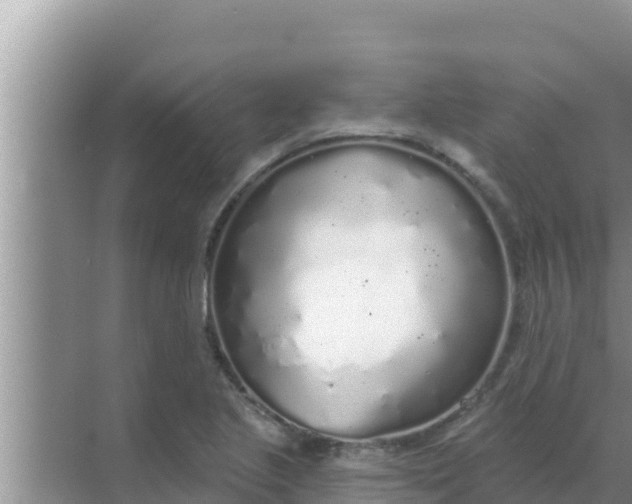 X0000069381221200605262042