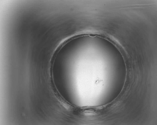 X0000069381222200605262042