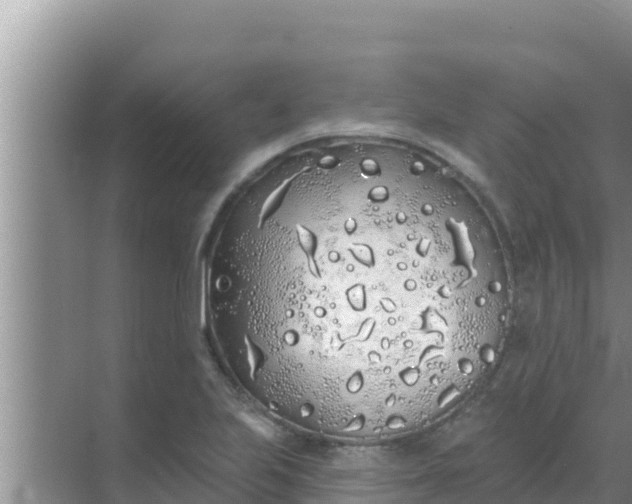 X0000069381223200605262042