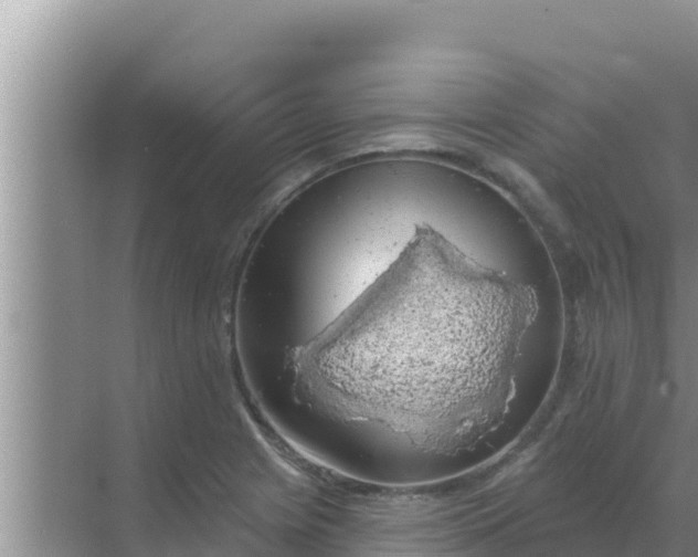 X0000069381225200605262042