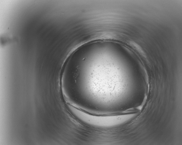 X0000069381226200605262042