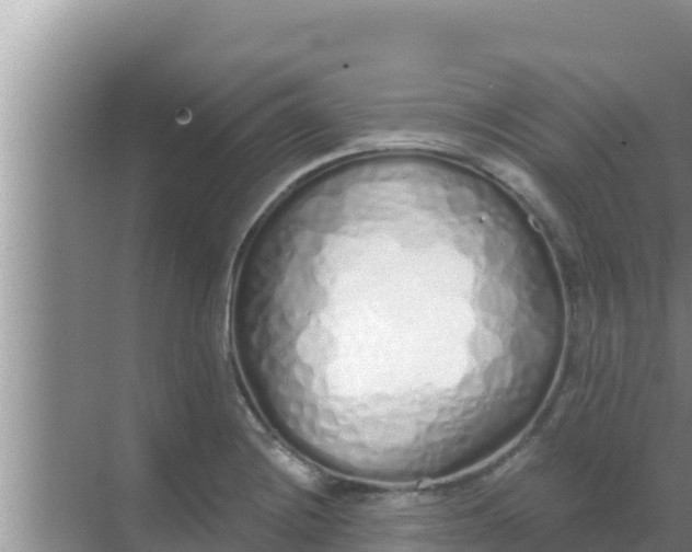 X0000069381228200605262042