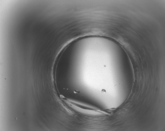 X0000069381230200605262042