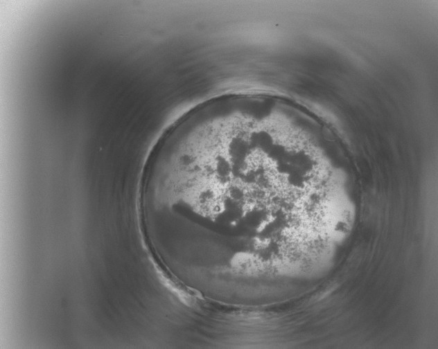 X0000069381231200605262042